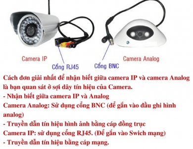 Camera IP là gì? Camera Analog là gì?